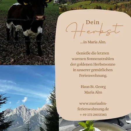 アパート Haus St. Georg